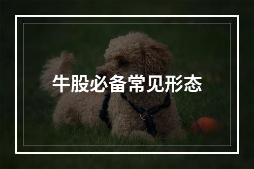 牛股必备常见形态