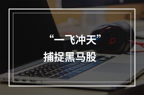 “一飞冲天”捕捉黑马股