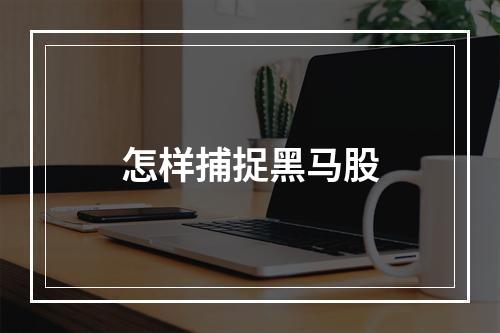 怎样捕捉黑马股