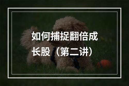 如何捕捉翻倍成长股（第二讲）