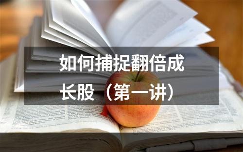 如何捕捉翻倍成长股（第一讲）