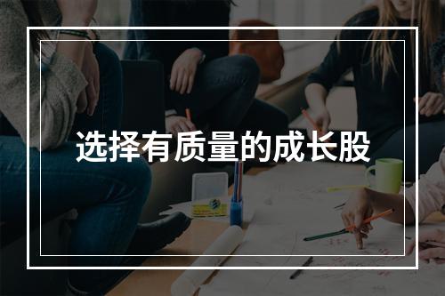 选择有质量的成长股