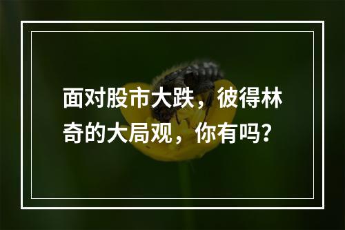 面对股市大跌，彼得林奇的大局观，你有吗？