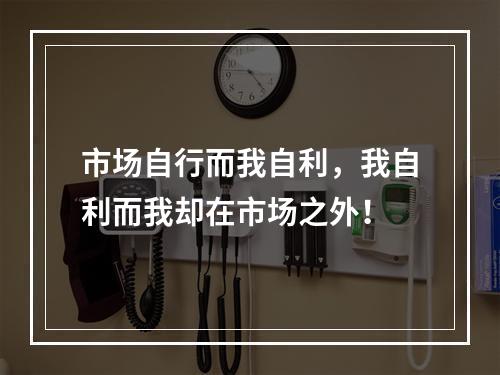 市场自行而我自利，我自利而我却在市场之外！