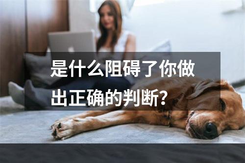 是什么阻碍了你做出正确的判断？