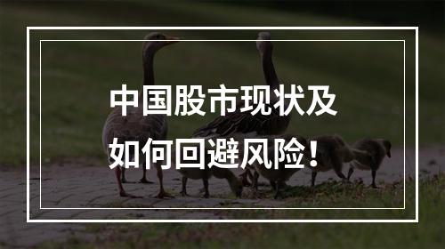 中国股市现状及如何回避风险！