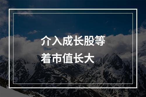 介入成长股等着市值长大