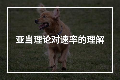 亚当理论对速率的理解