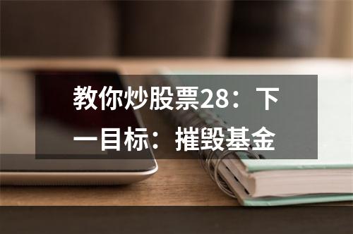 教你炒股票28：下一目标：摧毁基金