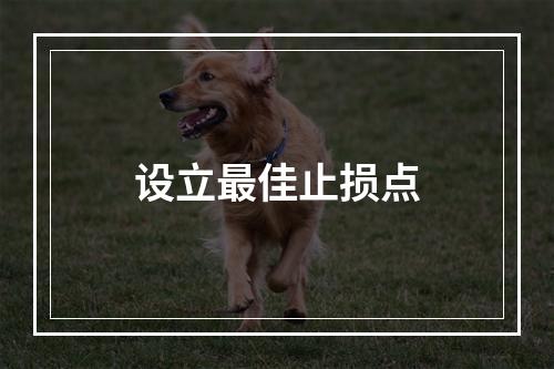 设立最佳止损点