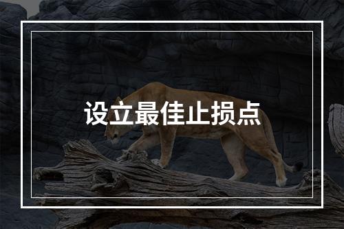 设立最佳止损点