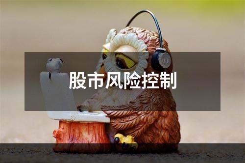 股市风险控制
