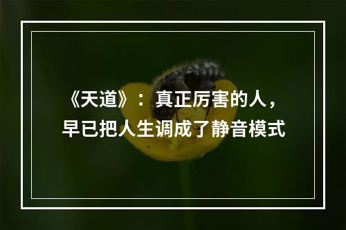《天道》：真正厉害的人，早已把人生调成了静音模式