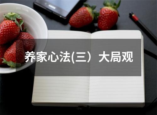 养家心法(三）大局观