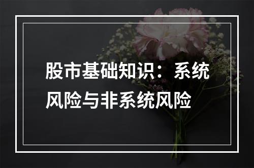 股市基础知识：系统风险与非系统风险