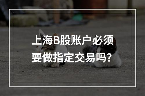 上海B股账户必须要做指定交易吗？