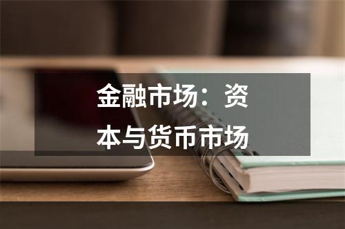 金融市场：资本与货币市场