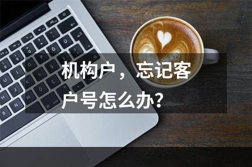 机构户，忘记客户号怎么办？