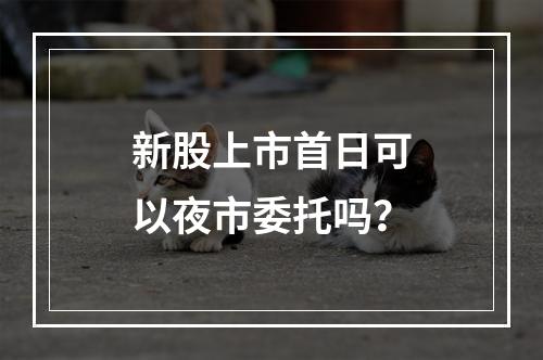 新股上市首日可以夜市委托吗？