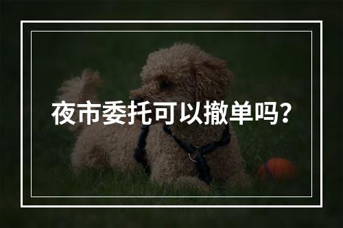 夜市委托可以撤单吗？