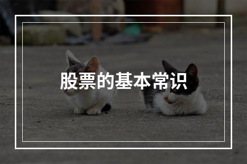 股票的基本常识