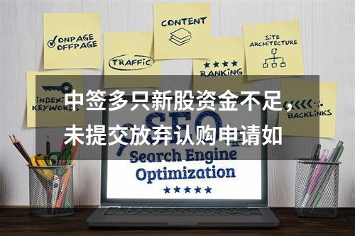 中签多只新股资金不足，未提交放弃认购申请如