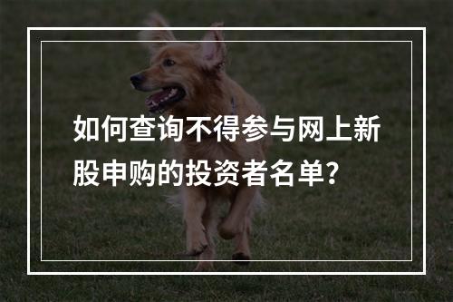 如何查询不得参与网上新股申购的投资者名单？