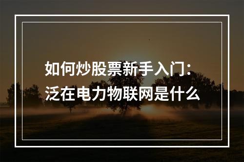 如何炒股票新手入门：泛在电力物联网是什么