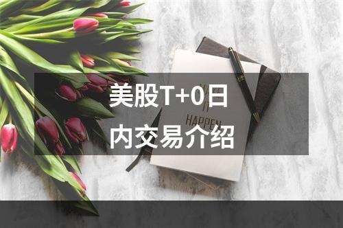 美股T+0日内交易介绍