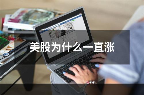 美股为什么一直涨