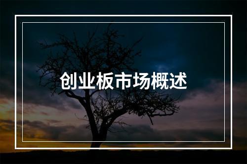 创业板市场概述
