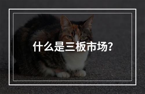 什么是三板市场？