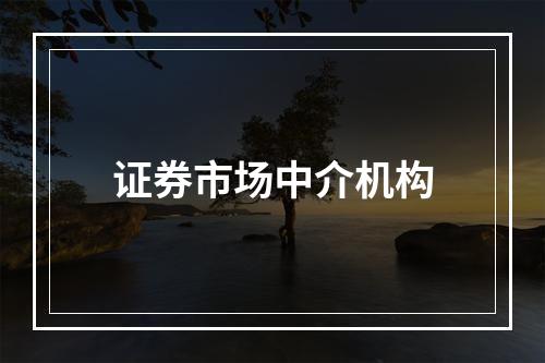 证券市场中介机构