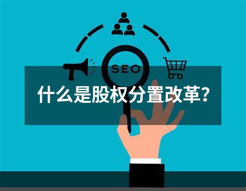 什么是股权分置改革？