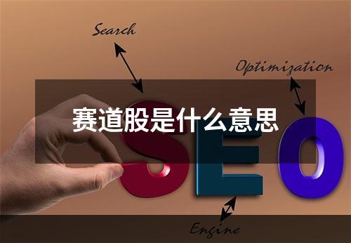 赛道股是什么意思