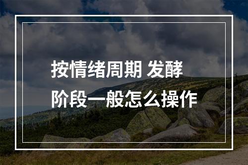 按情绪周期 发酵阶段一般怎么操作