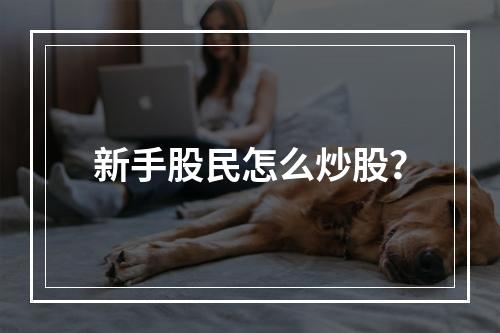 新手股民怎么炒股？