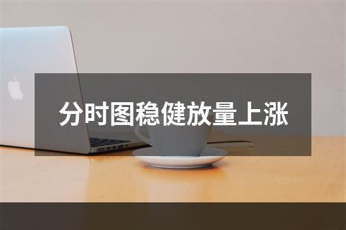分时图稳健放量上涨