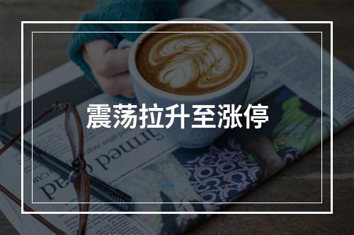 震荡拉升至涨停