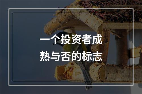 一个投资者成熟与否的标志