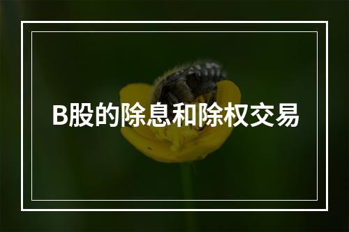 B股的除息和除权交易