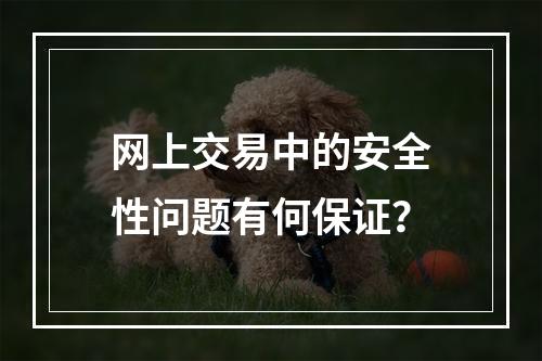 网上交易中的安全性问题有何保证？