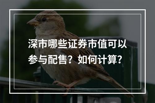 深市哪些证券市值可以参与配售？如何计算？