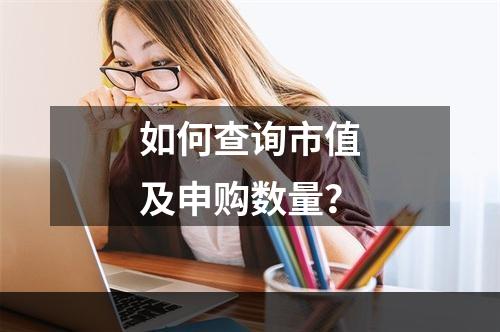 如何查询市值及申购数量？