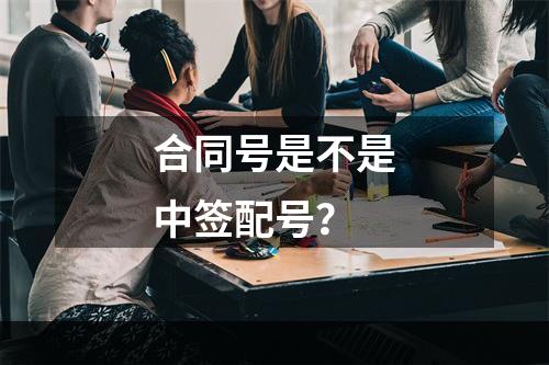 合同号是不是中签配号？