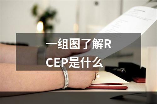 一组图了解RCEP是什么