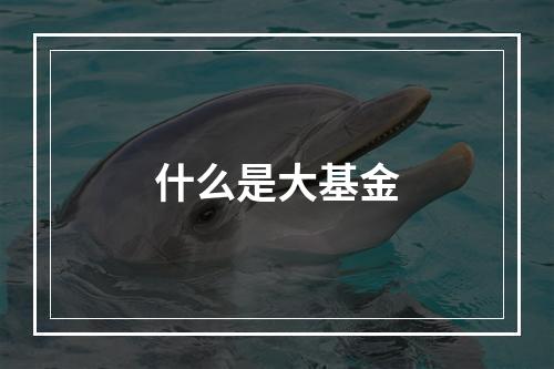 什么是大基金