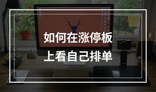 如何在涨停板上看自己排单