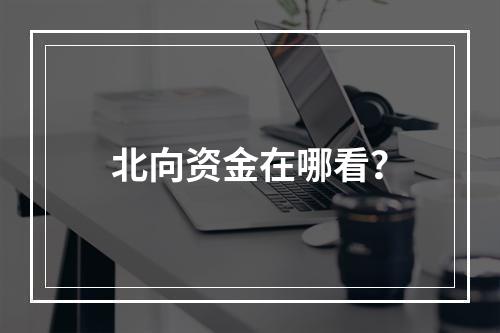 北向资金在哪看？