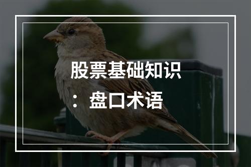 股票基础知识：盘口术语